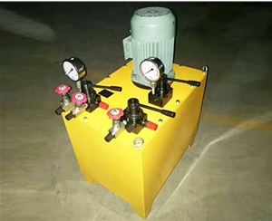 北京非标电动泵生产