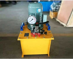 北京标准电动泵生产厂家供应